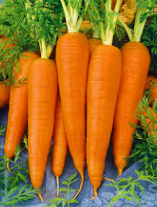 Carrots