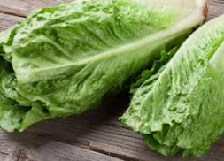 Lettuce
