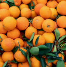 Oranges